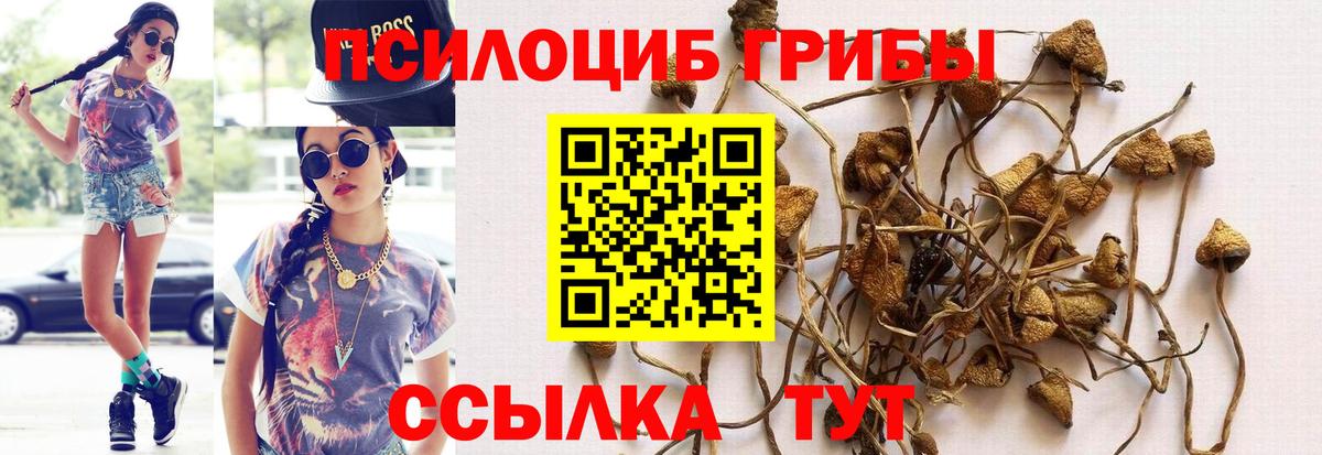 Галлюциногенные грибы прущие грибы Набережные Челны